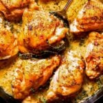 French Chicken in Mustard Wine Sauce (Skillet Thighs)