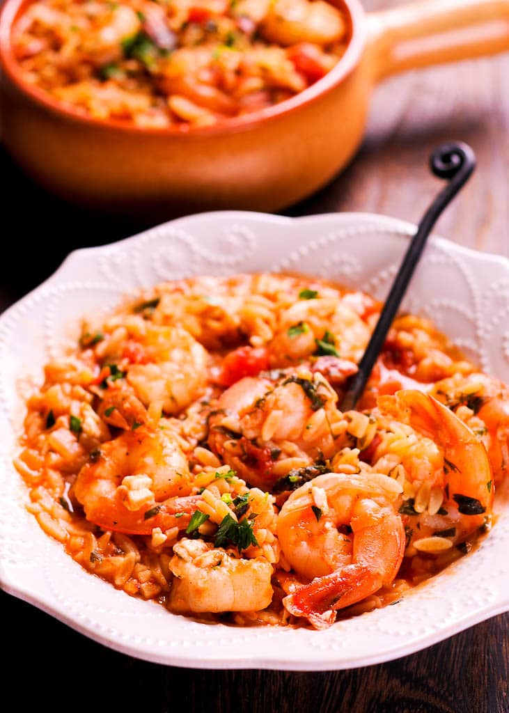 Instant Pot Shrimp Orzo in a white plate
