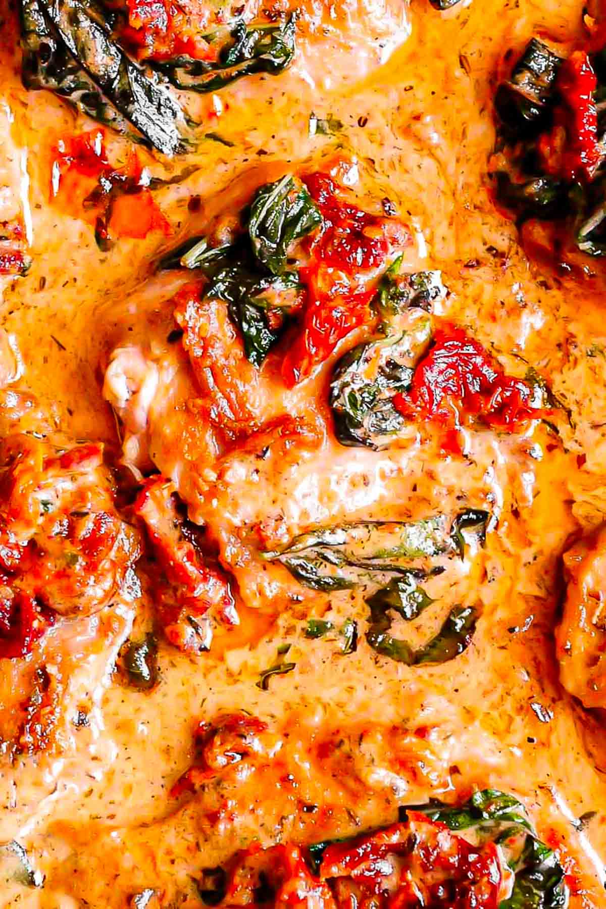 Chicken Thighs chicken thighs in creamy sun-dried tomato sauce