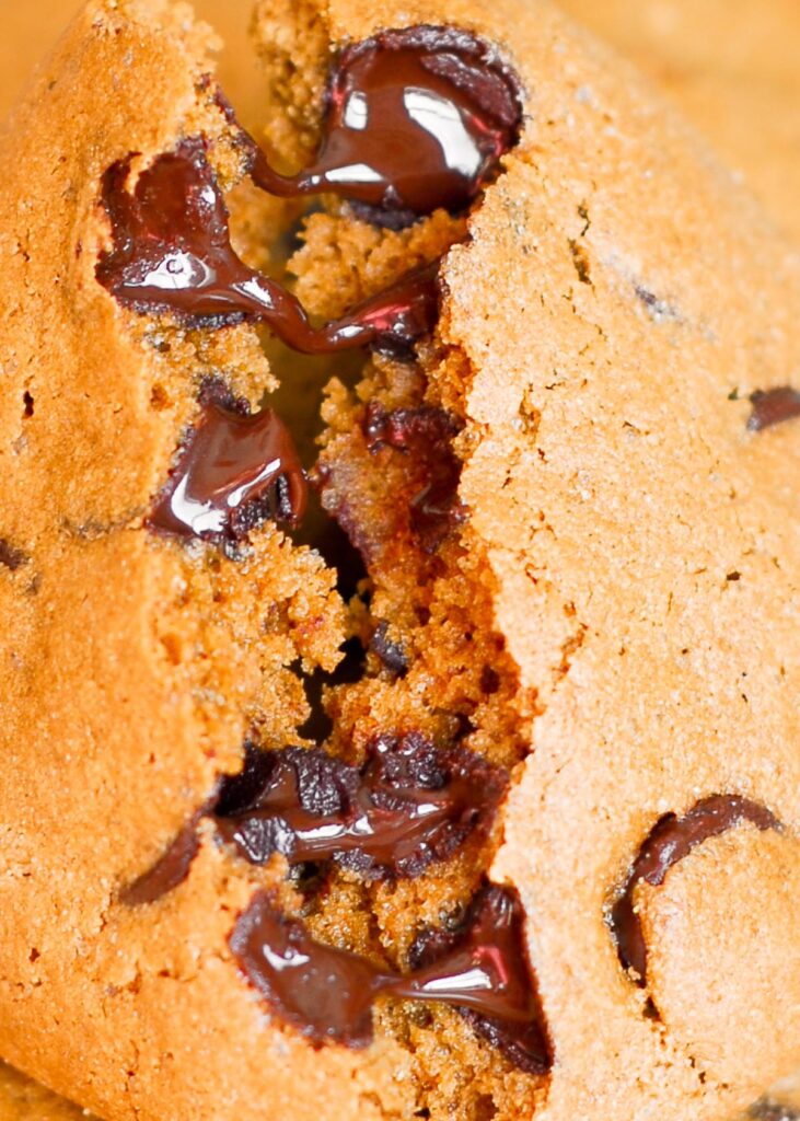 Gluten Free Quinoa Chocolate Chip Cookie close-up