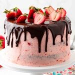 Chocolate Strawberry Cake