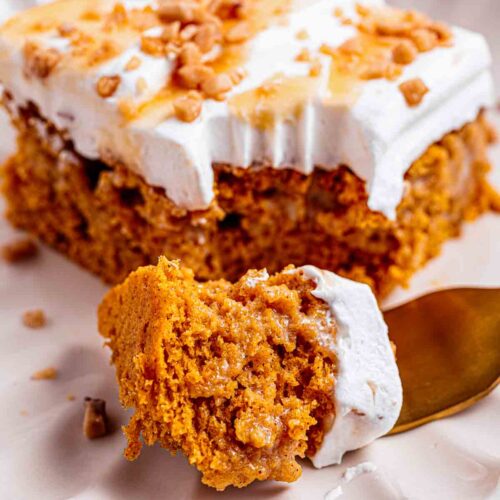 Pumpkin better than anything cake