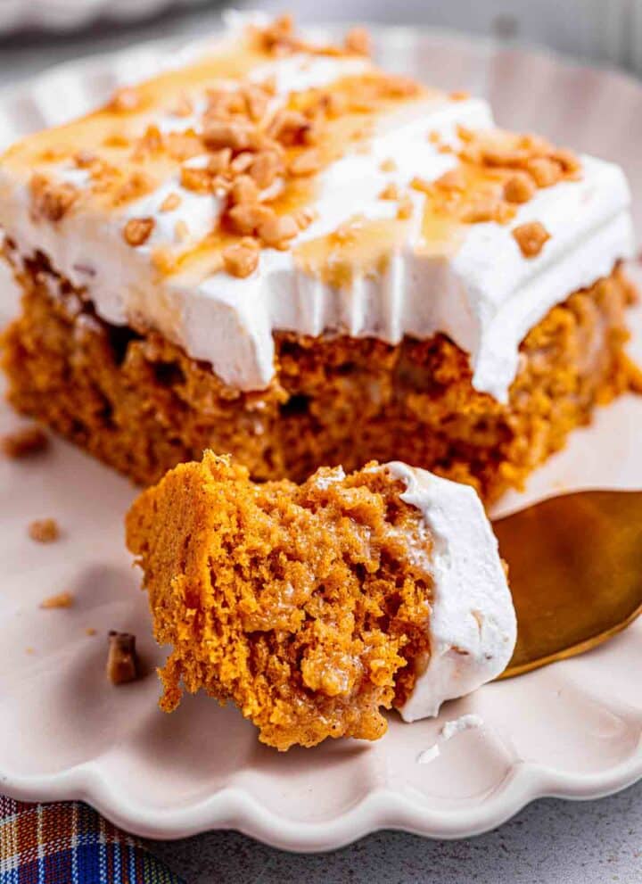 Pumpkin better than anything cake