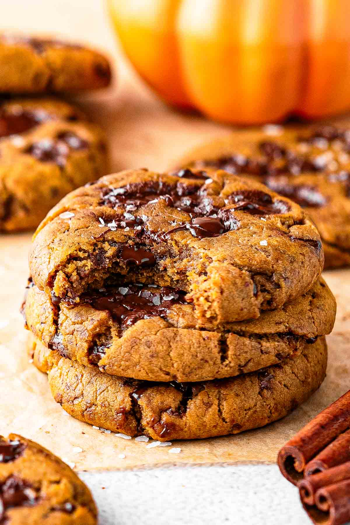 pumpkin chocolate chip cookie