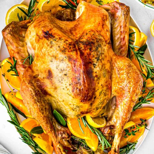 Citrus and herb roasted turkey