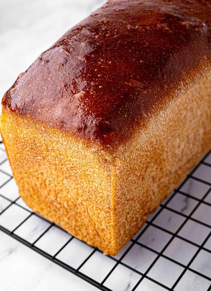 wholewheat sourdough bread