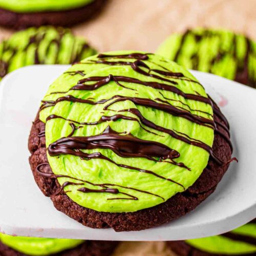 chocolate mint cookies
