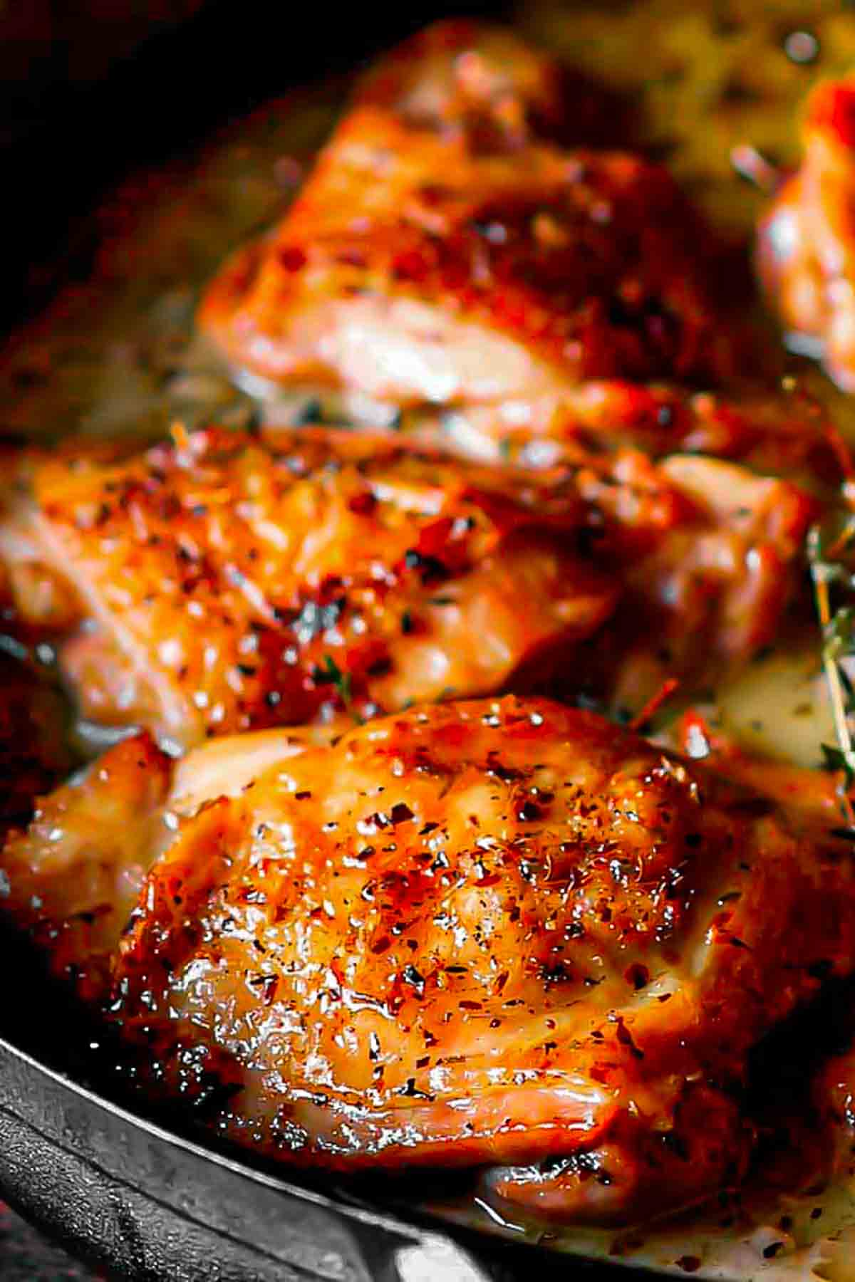 Chicken Thighs in Creamy White Wine Sauce (Herb Roasted)