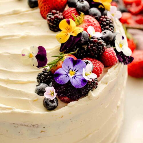 Berry Chantilly Cake
