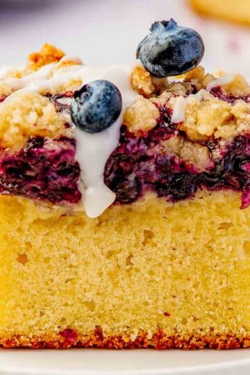 Slice of blueberry crumb cake showing soft vanilla cake base, juicy wild blueberry layer, and crisp golden crumb topping