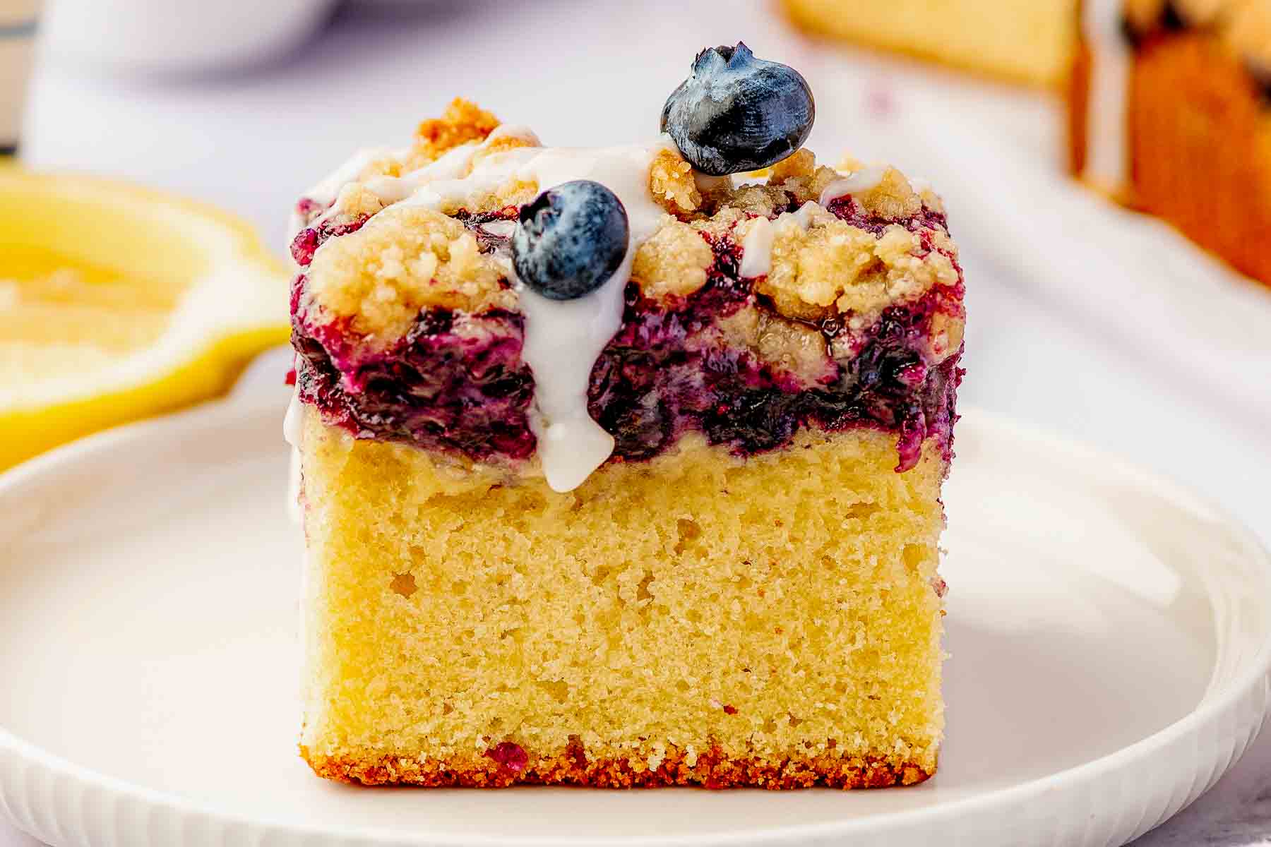 Slice of blueberry crumb cake showing soft vanilla cake base, juicy wild blueberry layer, and crisp golden crumb topping