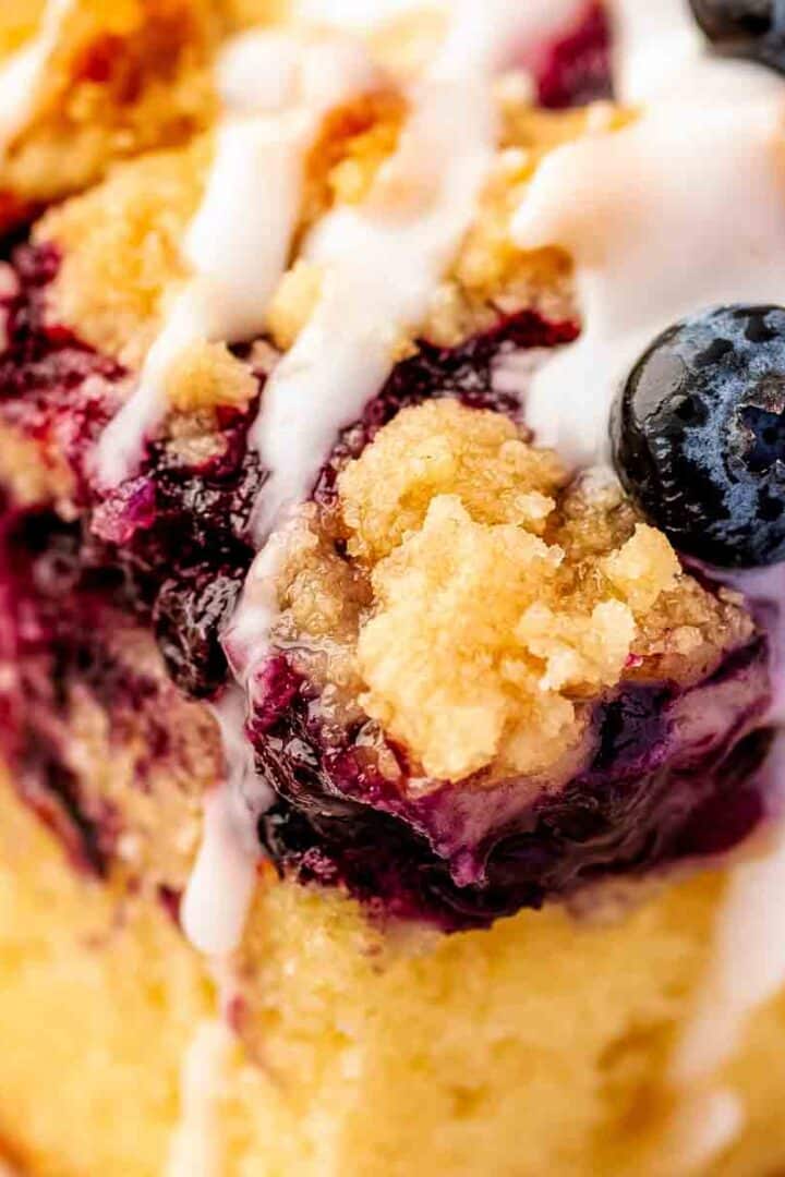 wild vs regular blueberries in baking