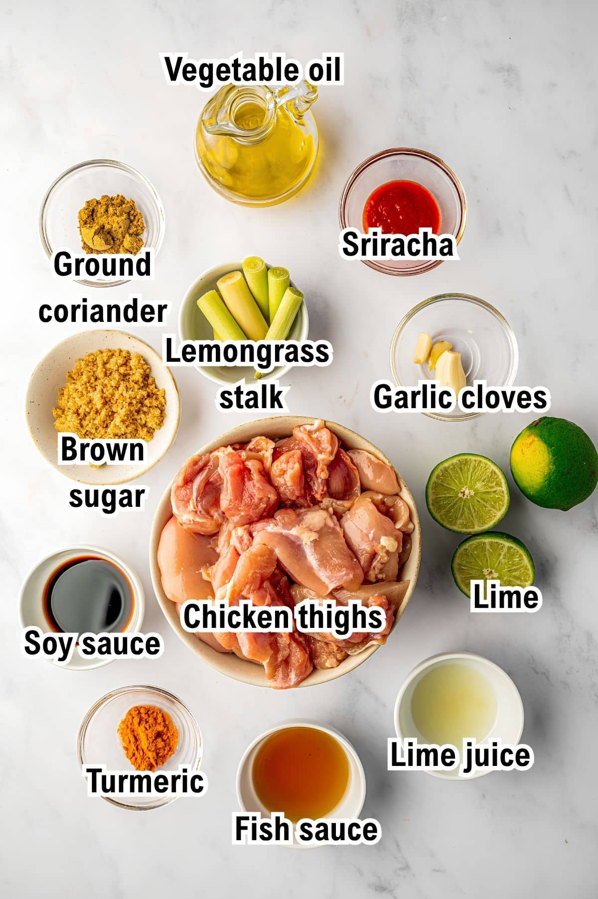 The Ingredients for Chicken Satay