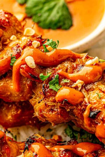 Oven Baked Thai Chicken Satay