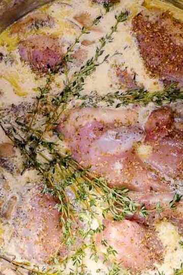 cooking meals from frozen in the instant pot