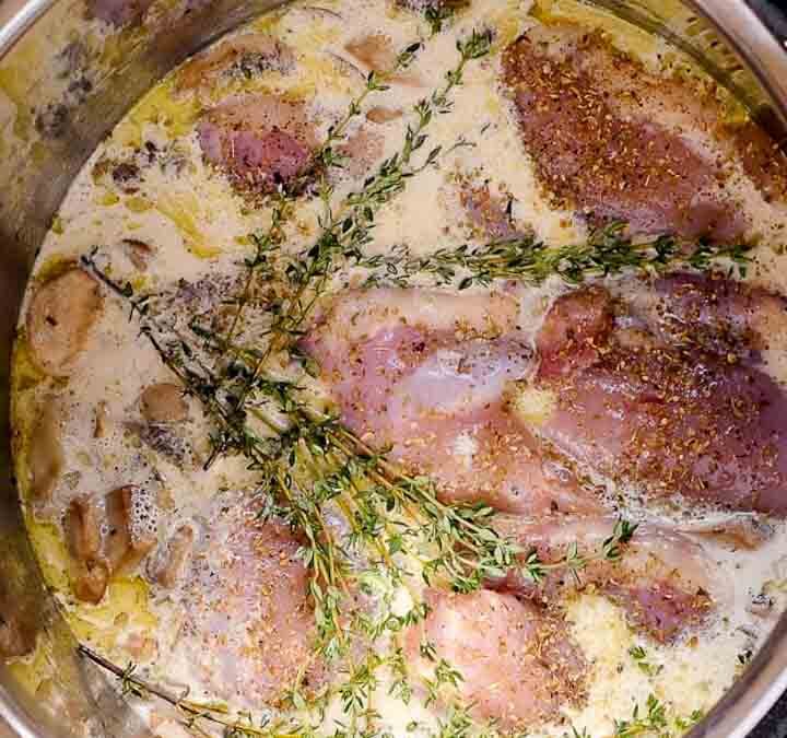 cooking meals from frozen in the instant pot