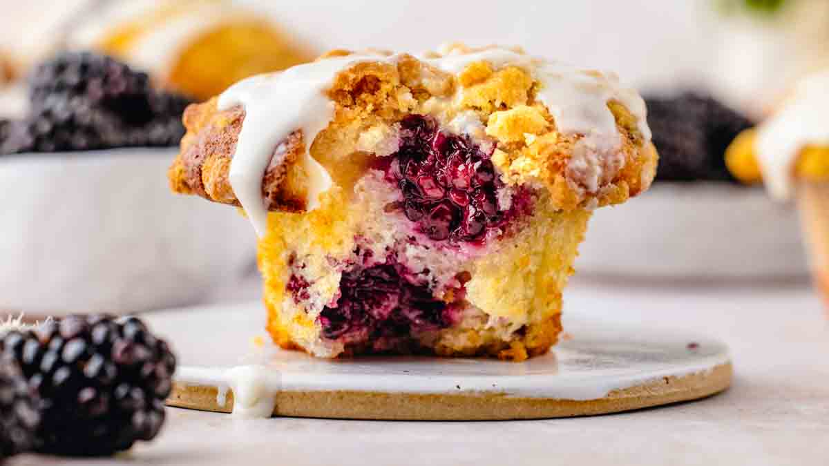 blackberry muffins made with greek yogurt or sour cream