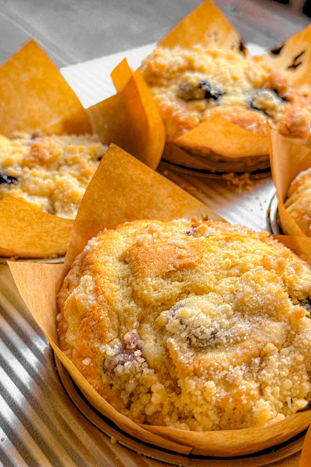 jumbo blueberry muffins close up