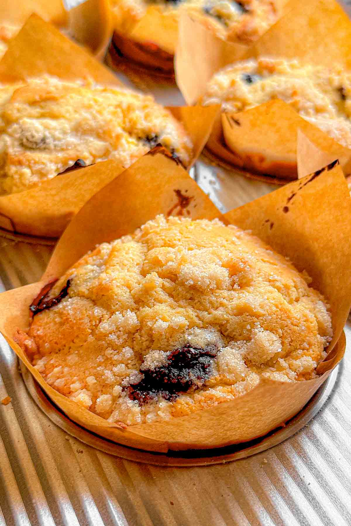 Jumbo Blueberry Muffins with Lemon Crumb Topping
