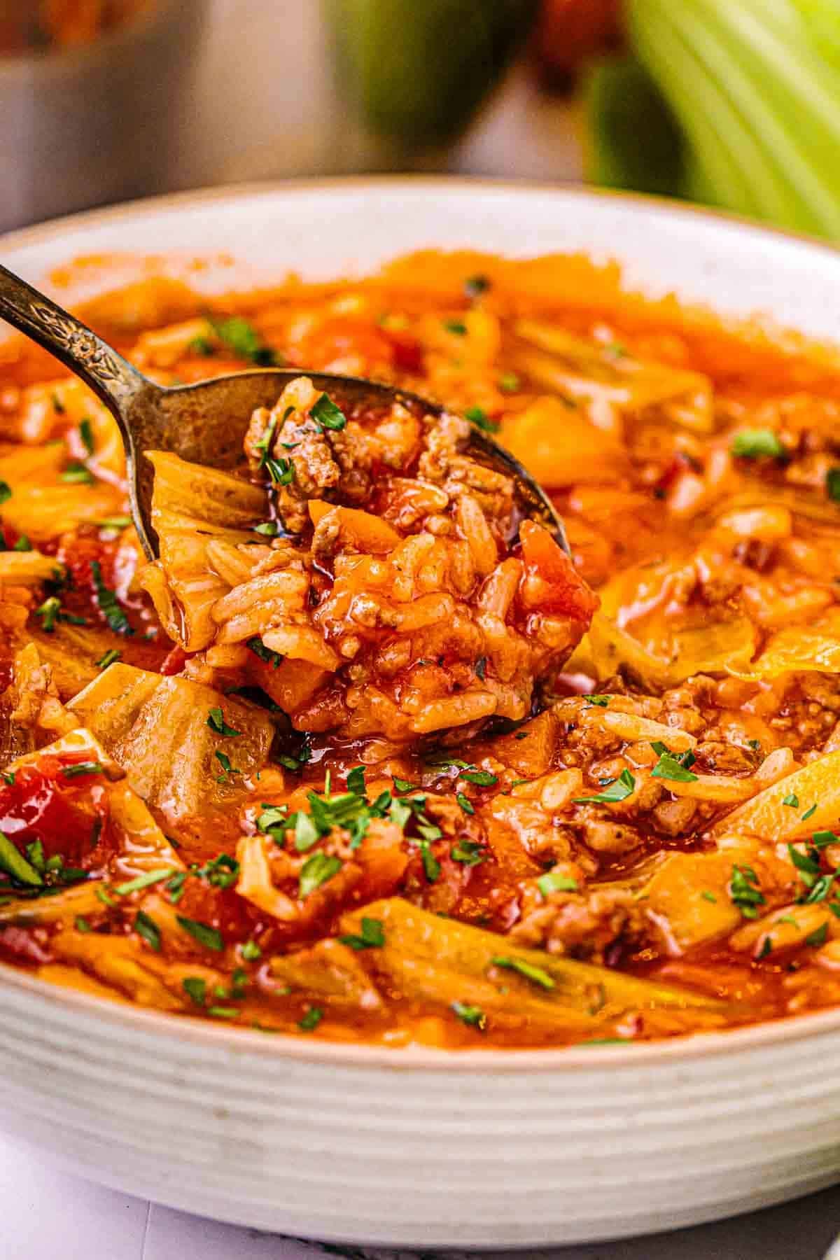 Close-up of tender cabbage, rice, and browned ground pork in tomato broth