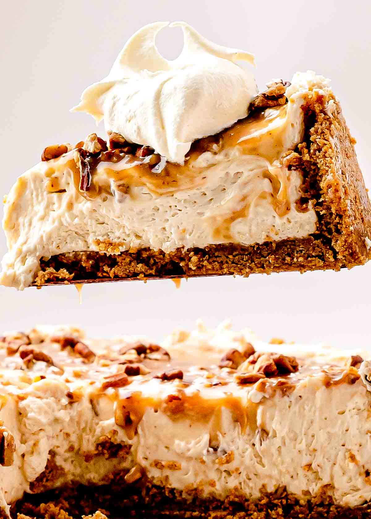 A clean slice of pecan pie cheesecake, showing the graham-pecan crust and creamy brown sugar filling